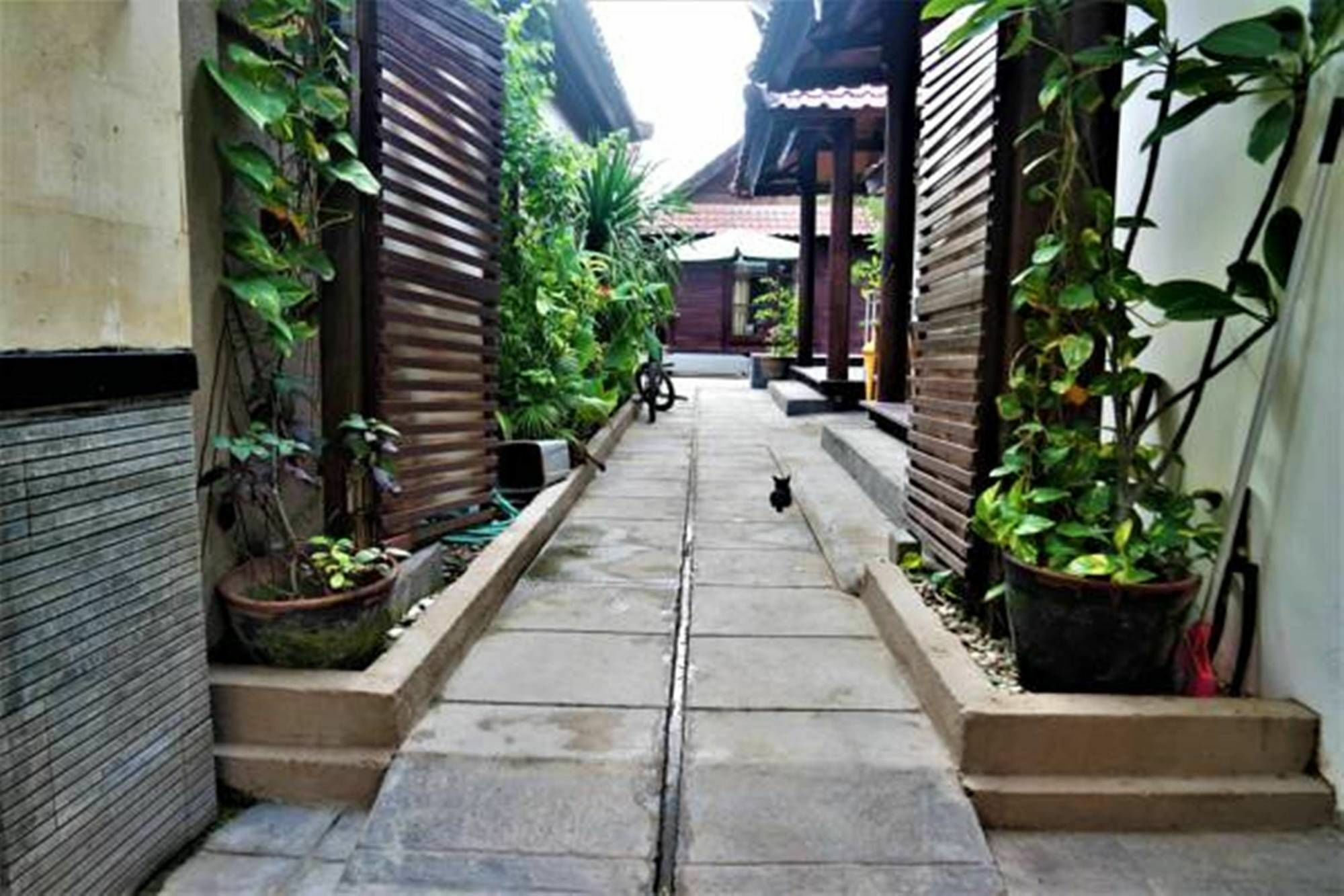 Drupadi Bungalows Gili Trawangan Eksteriør billede
